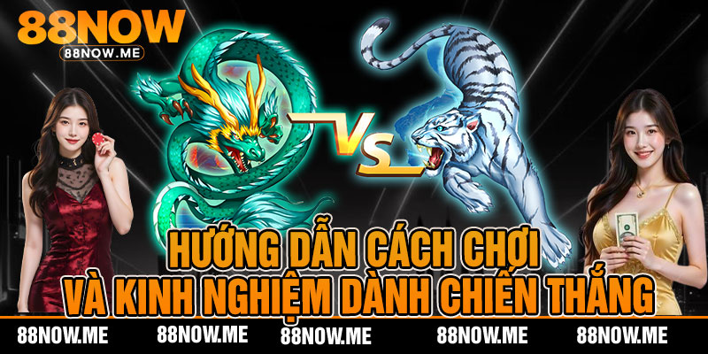 Hướng Dẫn Cách Chơi và Kinh Nghiệm Dành Chiến Thắng